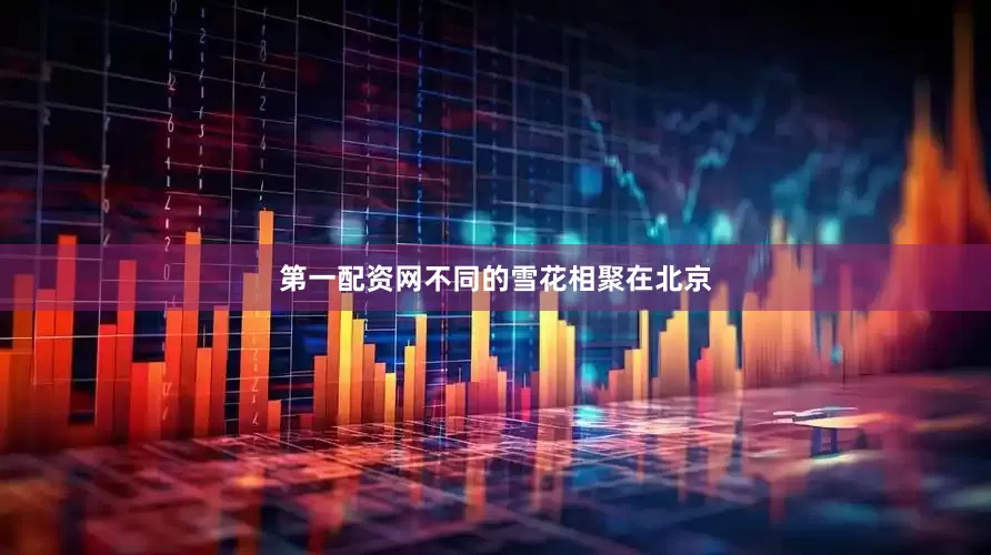 第一配资网不同的雪花相聚在北京
