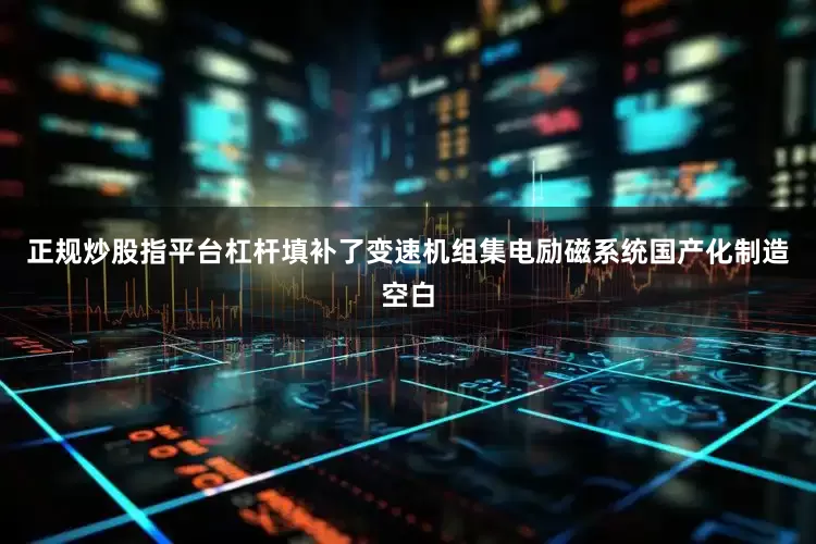 正规炒股指平台杠杆填补了变速机组集电励磁系统国产化制造空白