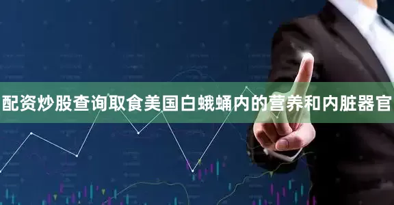 配资炒股查询取食美国白蛾蛹内的营养和内脏器官