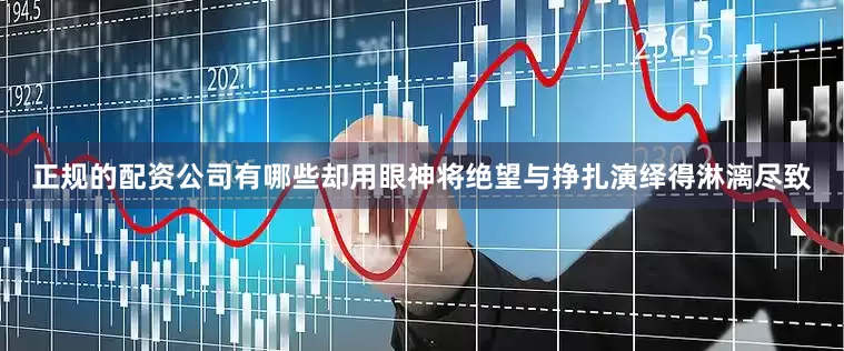 正规的配资公司有哪些却用眼神将绝望与挣扎演绎得淋漓尽致