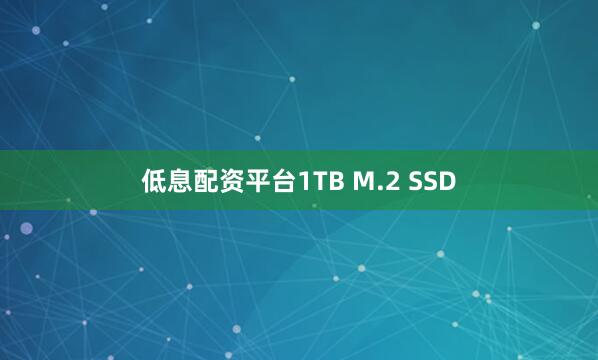 低息配资平台1TB M.2 SSD