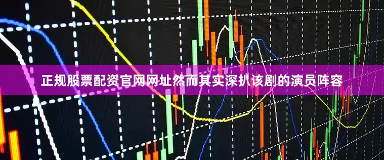正规股票配资官网网址然而其实深扒该剧的演员阵容